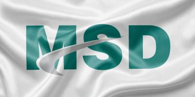 Полотно MSD для натяжного потолка