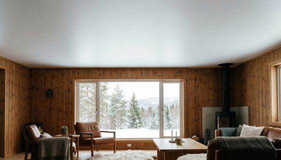Натяжной потолок для дачи и загородного дома